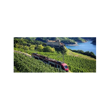 TRENINO dei CASTELLI del TRENTINO - Sabato 23 Agosto 2025