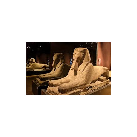 TORINO E IL MUSEO EGIZIO - Domenica 7 Settembre 2025