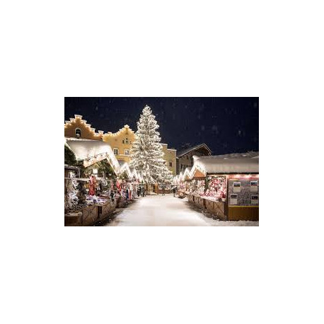 Mercatini di Natale di Bolzano: Sabato 20 Dicembre 2025